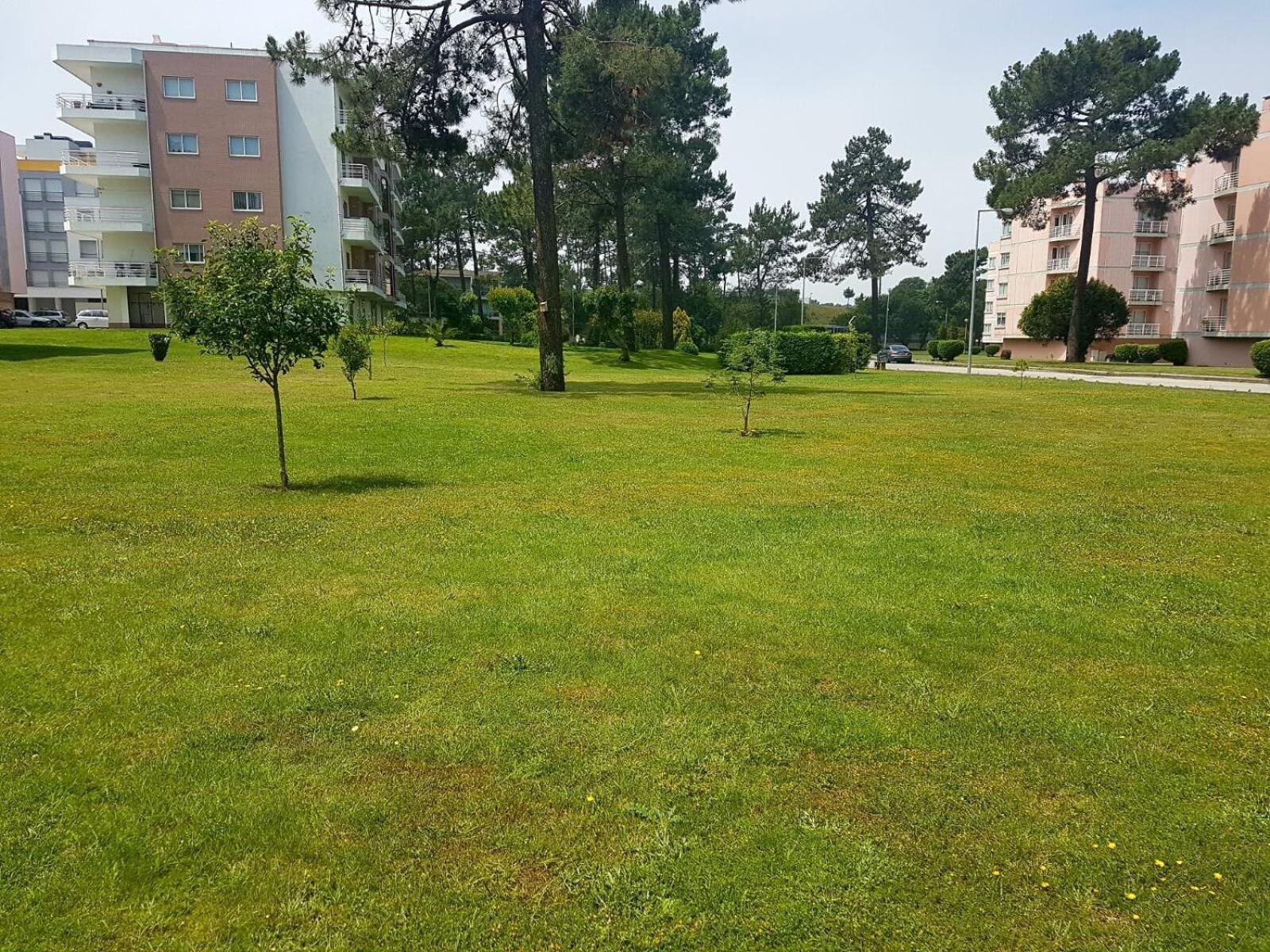 Viana do Castelo, Cabedelo Beach Apartment Exterior foto